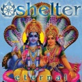 Shelter - Meant to be