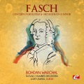 Slovak Chamber Orchestra、Jozef Zsapka - Concerto for Guitar and Orchestra in D Minor, FWV L:d 1: I. Allegro moderato