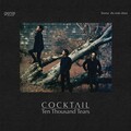 Cocktail - งานเต้นรำในคืนพระจันทร์เต็มดวง feat. นิว นภัสสร