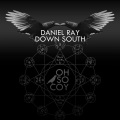 daniel ray - Owls In Reverb