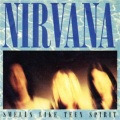 Smells Like Teen Spirit (Single Version)