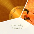 The Big Bopper - White Lightnin'