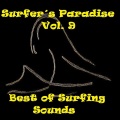 The Lively Ones - Paradise Cove