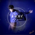 คชา นนทนันท์ - แค่ของเลียนแบบ