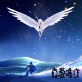 达浪 - 摇头好么