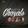 pankaj udhas - Ek Taraf Uska Ghar (Album Version)