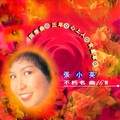 张小英 - 再会吧叮咛