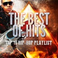 Hip Hop Nation - No Diggity