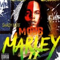 Shady Nate、A Plus Tha Kid、go、Aplus Tha Kid - Your Entertainment