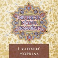 lightnin' hopkins - Reminiscenses Of Blind Lemon