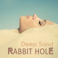 Rabbit Hole - Guess Again