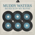 Blues Is in My Blood