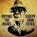 sleepy john estes - My Black Gal Blues