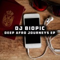 DJ Biopic - Night Tones