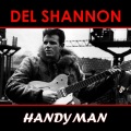 Del Shannon - Handy Man