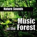 Music in the Forest (Music and Nature Sound)