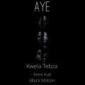 kwela tebza、Femi Kuti、Black Motion - Aye