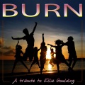 DJ Party Sessions - Burn