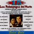 Los Relampagos Del Norte - Caminar Caminar