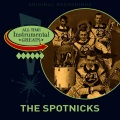 The Spotnicks - Home on the Range