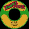 bob taylor - After Hours