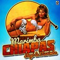 Marimba Chiapas - La Zandunga