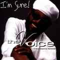 Various Artists、The Voice of America - Never Say Never