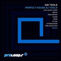 Ian Tools - Perfect House Pizzicato 2 128