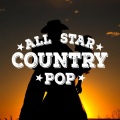 Country Pop All-Stars - We Danced Anyway