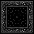 DJ Biopic - Bandana