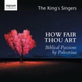 The King's Singers - Tota pulchra es anima mea
