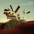 Troels Hammer - She Is Home
