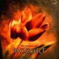 Michael Maxwell - Serenade No. 13 for strings in G Major, Eine Klein Nachtmusik K, 525: I. Allegro