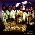Kjarkas - El Arbol