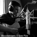 jay williams - Bloodstream