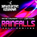 Artie Cabrera、lisa pure、Magnetix Project、N.Dave - Rainfalls