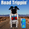 Viva La Rock - Highway to Hell