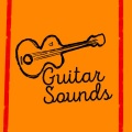 Guitar - It's Not the Same
