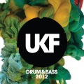 Drumsound & Bassline Smith、Bassline Smith、Drumsound - Through the Night