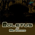 Mr. Tommy - Boletus