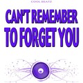 Cool Beatz - Can't Remember to Forget You