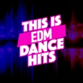 This Is EDM 2015、Nicolas - Totally Fine (On the Beach Mix Remix)
