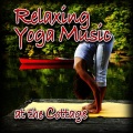 Music for Meditation、Relaxation - Peaceful Musical Call of the Loons (Gentle and Soothing Nature Sound with Music)