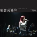 胡琳 - 葡萄成熟时 (Body And Soul Live Version)