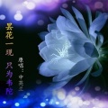香飞蝶舞 - 昙花一现 只为韦陀