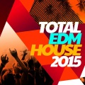 Leandro Antelo、This Is EDM 2015 - North