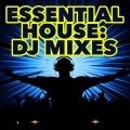 Electro House DJ - Tranzform (Remix)