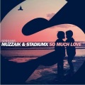 StadiumX、muzzaik - So Much Love