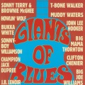 big joe williams - My Baby Is Gone