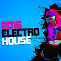 Electro House DJ - What's Goin On